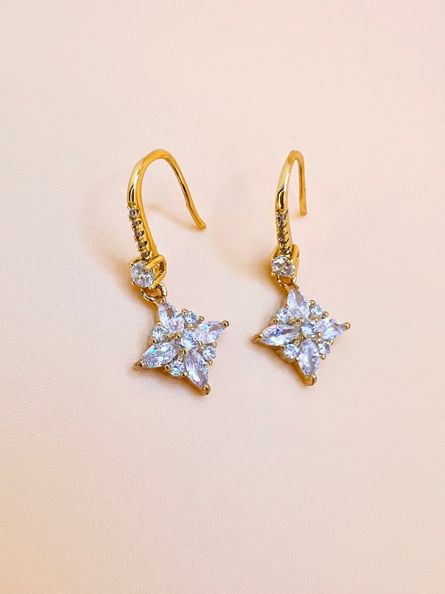 Caitlyn fancy hook earring