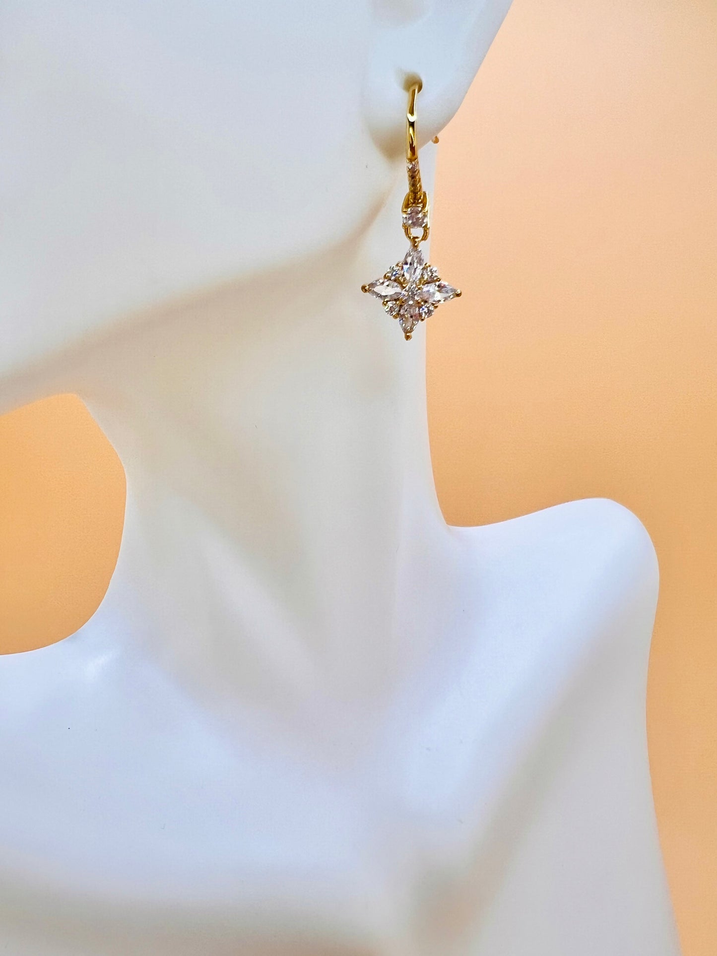 Caitlyn fancy hook earring